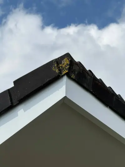 Boeidelen bekleden in Almelo bij zes woningen – foto 7