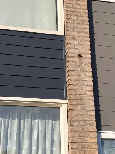 Keralit gevelrenovatie – Den Bosch – foto 3